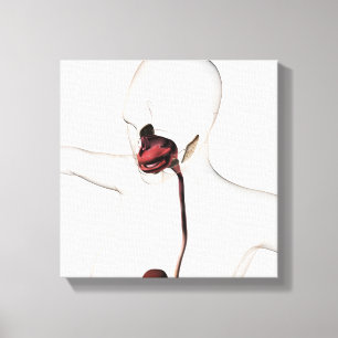 Impressão Em Tela O sistema digestivo humano 3