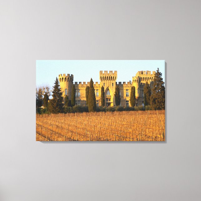 Impressão Em Tela O vinhedo com videiras syrah e o castelo (Frente)