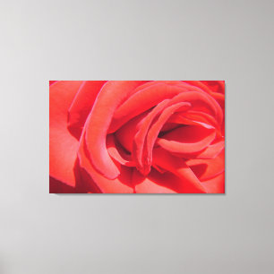 Impressão Em Tela obra de arte de rosa vermelha. amor, casado