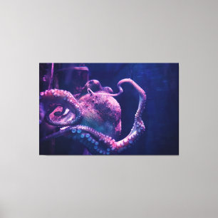 Impressão Em Tela Octopus