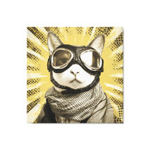 Óculos de Aviador Gato Sol Raiado Retrato