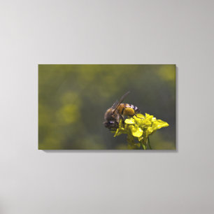 Impressão Em Tela Ocupado como uma Abelha