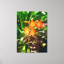 Ofertas de Natures, Impressão de tela estendida