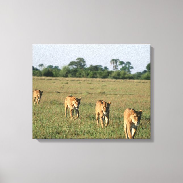 Impressão Em Tela Okavango Delta, Botsuana 4 (Frente)