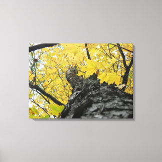 Impressão Em Tela Olhando para as Folhas Amarelas