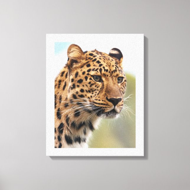 Impressão Em Tela Olhar Intenso do Leopardo (Frente)