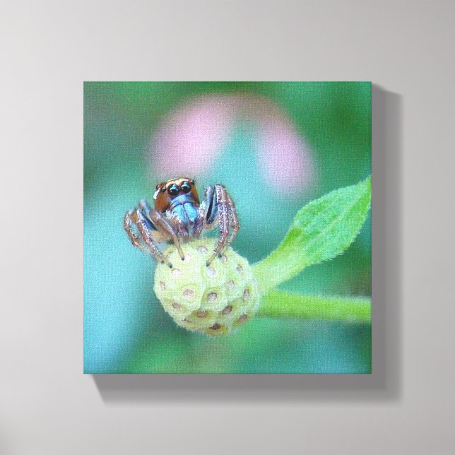 Impressão Em Tela Olhe para aqueles olhos! (Frente)