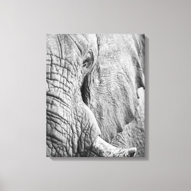 Impressão Em Tela Olho Elefante (Frente)