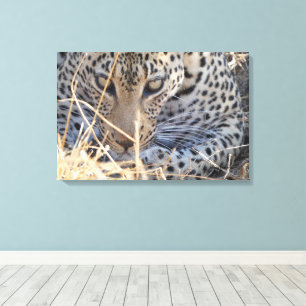 IMPRESSÃO EM TELA OLHOS DE LEOPARDO VISTA FECHADA