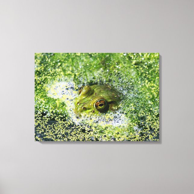 Impressão Em Tela Olhos de sapo (Frente)