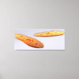 Impressão Em Tela Opinião microscópica o Paramecium 4