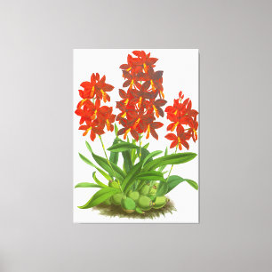 Impressão Em Tela Orange Red Orchid Flower_GA - Impressão de tela
