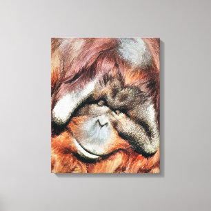IMPRESSÃO EM TELA ORANGUTANOS