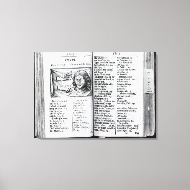 Impressão Em Tela "Orbis Sensualium Pictus" (Frente)