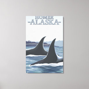 Impressão Em Tela Orca Whales #1 - Homer, Alaska