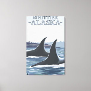 Impressão Em Tela Orca Whales nº 1 - Whittier, Alaska
