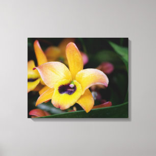 Impressão Em Tela Orquídea amarela e castanha