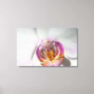 Impressão Em Tela Orquídea branca com roxo e amarelo