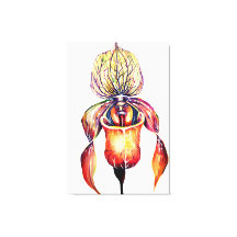 Orquídea de Paphiopedilum aquarela em cores vivas