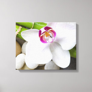 Impressão Em Tela orquídea e bambu