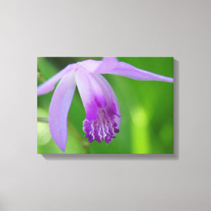 Impressão Em Tela Orquídea para você!