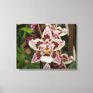 Impressão Em Tela Orquídea Phalaenopsis Multicolorida Incrível