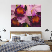 Orquídea Real Purple Cattleya