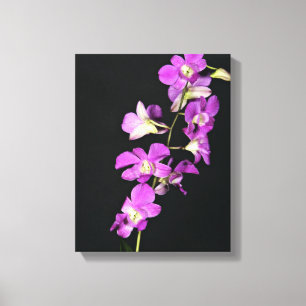 Impressão Em Tela Orquídea roxa no fundo preto