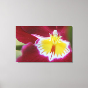Impressão Em Tela Orquídea vermelha e amarela