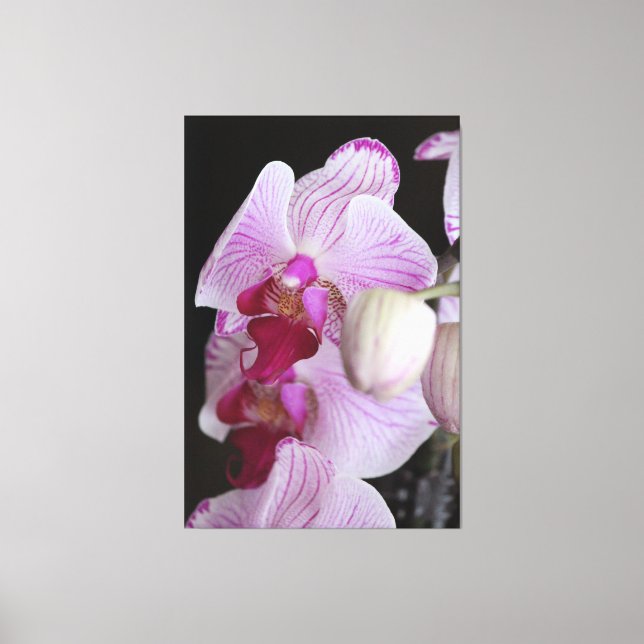 Impressão Em Tela Orquídeas (Frente)