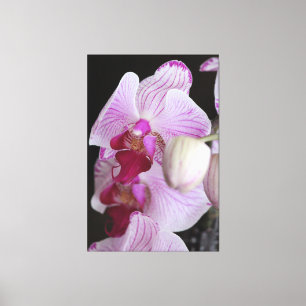 Impressão Em Tela Orquídeas