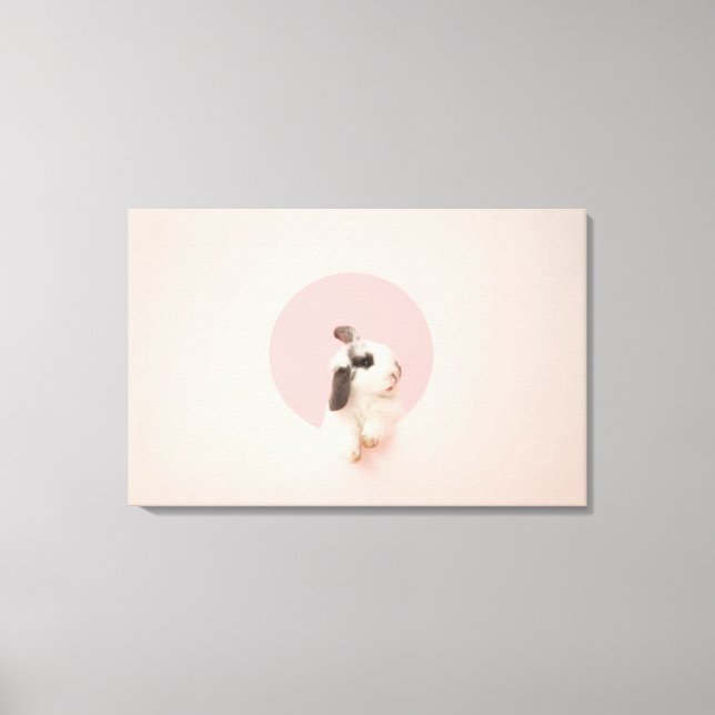 Impressão Em Tela Oryctolagus cuniculo (Frente)