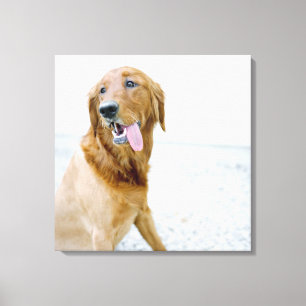 Impressão Em Tela Os EUA, Utá, Salt Lake City, metade barbearam o