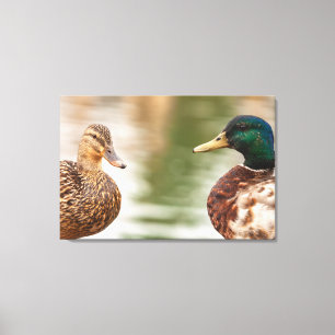 Impressão Em Tela Os Mallards