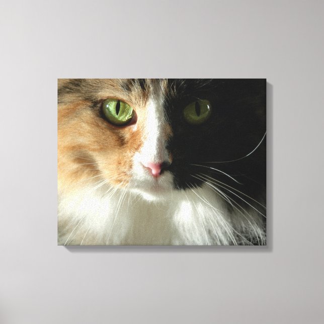 Impressão Em Tela Os Olhos do Gato (Frente)