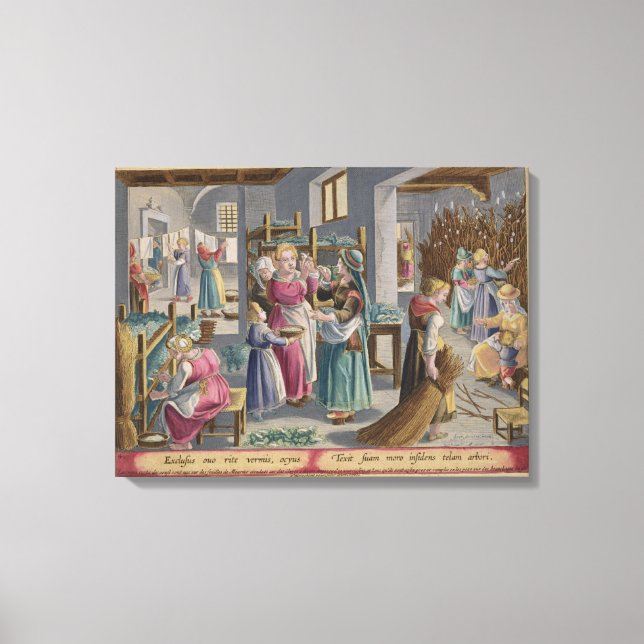 Impressão Em Tela Os Ovos Atcham em Vermes, eles estão cobertos por (Frente)