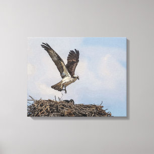 Impressão Em Tela Osprey em um ninho