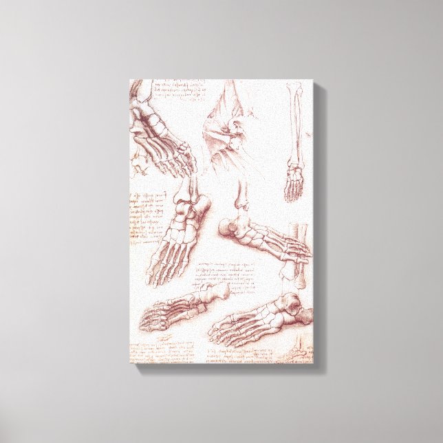 Impressão Em Tela Ossos do Pé da Anatomia Humana de Leonardo da Vinc (Frente)