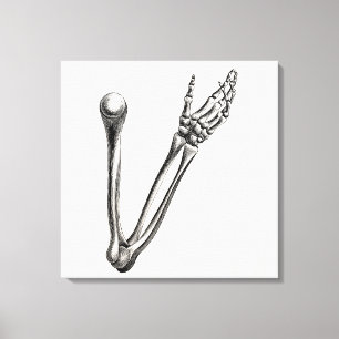 Impressão Em Tela Ossos retros personalizados de esqueleto do osso