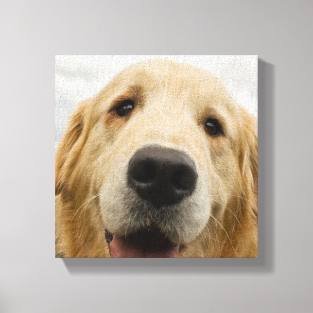 Impressão Em Tela Ouro Feliz Retriever (Frente)