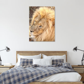 Impressão Em Tela Ouro Lion Mane