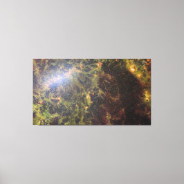 Impressão Em Tela Ouro NGC 5068 | JWST