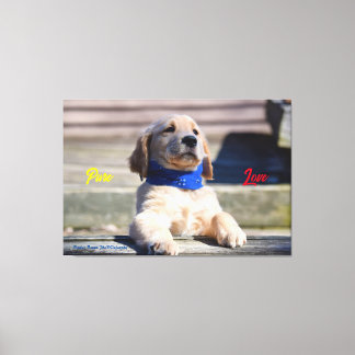 Impressão Em Tela Ouro Puppy com Bandana - Impressão de tela