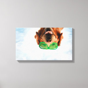 Impressão Em Tela Ouro Retriever Com Óculos De Sol Verde