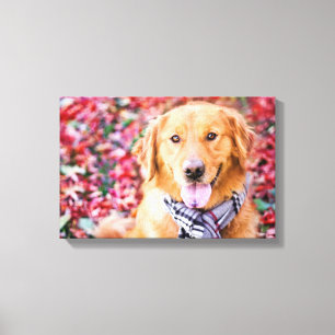 Impressão Em Tela Ouro Retriever Em Scarf