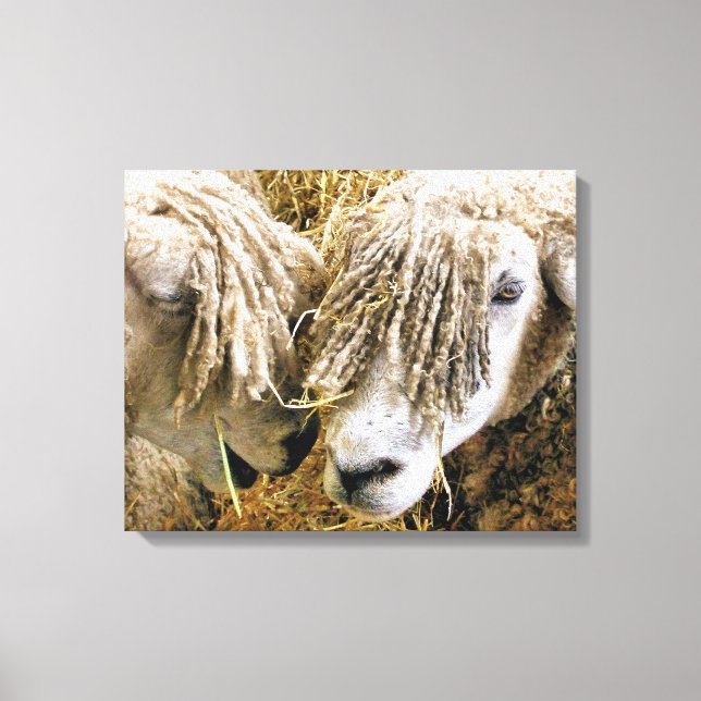 IMPRESSÃO EM TELA OVINO (Frente)