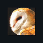 IMPRESSÃO EM TELA OWLS<br><div class="desc">Uma bela aquarela de focagem suave de uma Coruja-do-Barno.</div>