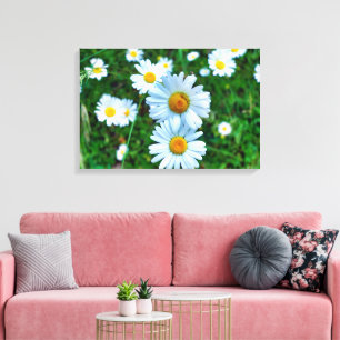 Impressão Em Tela Ox-Eye Daisies