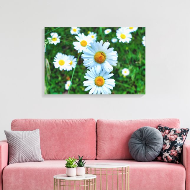 Impressão Em Tela Ox-Eye Daisies (Insitu(Sala de estar))