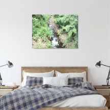 Pacífico Creek 2